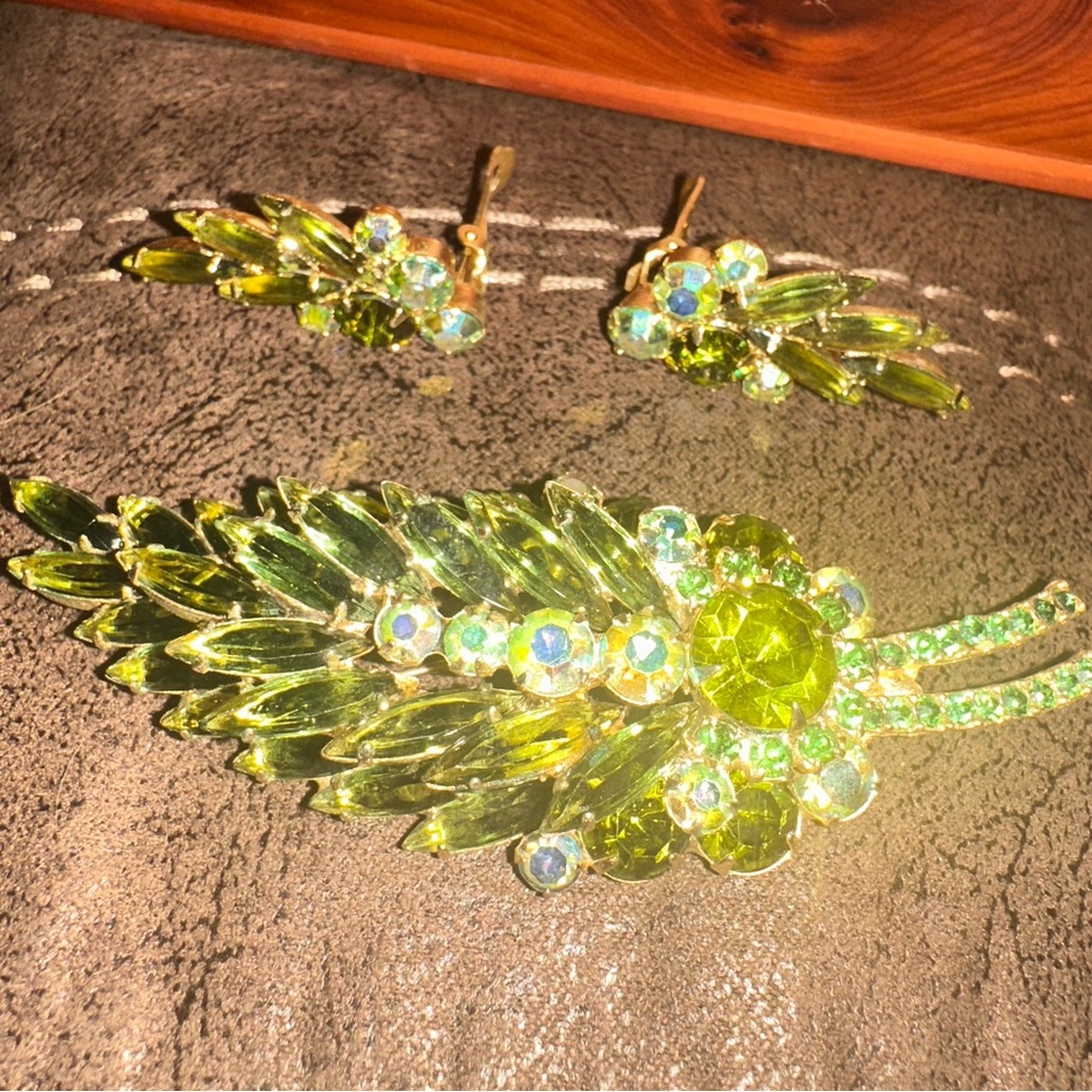 Vintage Brooch with earrings